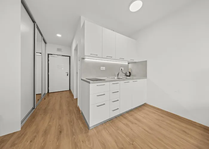 Air Conditioned 1 With Parking, New Building, Ruzinov * ブラチスラヴァ