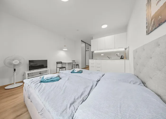 Air Conditioned 1 With Parking, New Building, Ruzinov 아파트